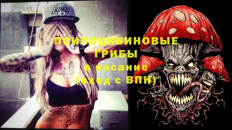 Галлюциногенные грибы Cubensis  Благовещенск 